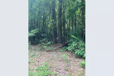 201 Lake Court, Chapel Hill, NC 27516 - Photo 2