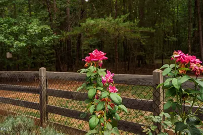 1624 Rosebriar Place, Hillsborough, NC 27278 - Photo 56