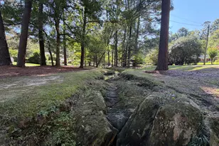408 Marjorie Dr, Cary, NC 27511 - Photo 66