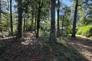 408 Marjorie Dr, Cary, NC 27511 - Photo 52