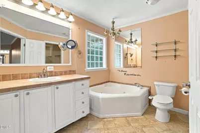 7147 Great Swamp Loop, Lucama, NC 27851 - Photo 10