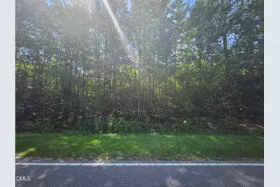 0 Dorsey Road, Louisburg, NC 27549 - Photo 6
