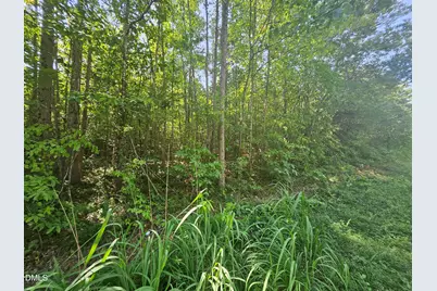 0 Dorsey Road, Louisburg, NC 27549 - Photo 8
