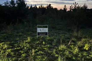 0 Collier Rd, Wade, NC 28395 - Photo 1