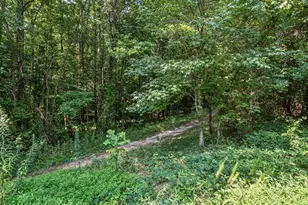 410 Whitehall Ct, Clayton, NC 27520 - Photo 24