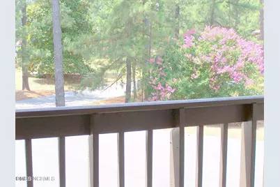220 Foxkroft Drive, Jackson Springs, NC 27281 - Photo 20