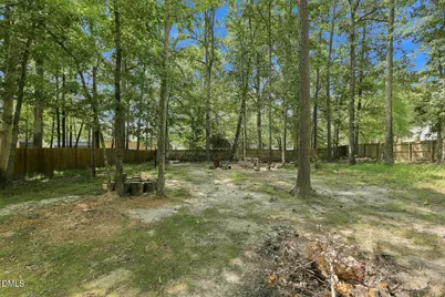 14 Springmoor Drive, Angier, NC 27501 - Photo 30