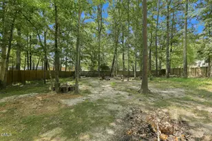 14 Springmoor Dr, Angier, NC 27501 - Photo 30
