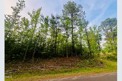 Tbd Alston Horton Service Road, Pittsboro, NC 27312 - Photo 4