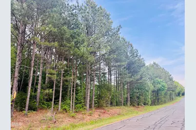 Tbd Alston Horton Service Road, Pittsboro, NC 27312 - Photo 6