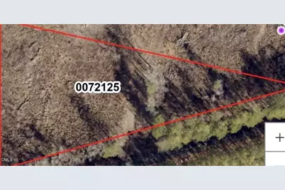 Tbd Alston Horton Service Road, Pittsboro, NC 27312 - Photo 2