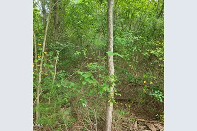 0 Highway 49, Mebane, NC 27302 - Photo 18