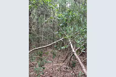 0 Highway 49, Mebane, NC 27302 - Photo 12