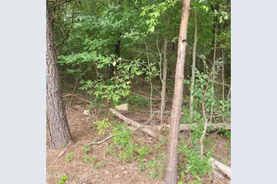 0 Highway 49, Mebane, NC 27302 - Photo 16