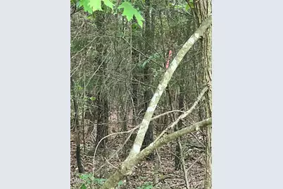 0 Highway 49, Mebane, NC 27302 - Photo 6