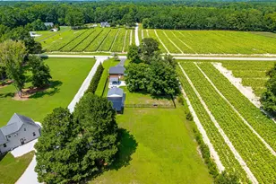 2331 Twin Acres Rd, Clayton, NC 27520 - Photo 42