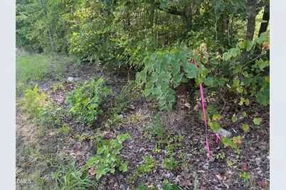 8585 Dirgie Mine Road, Roxboro, NC 27574 - Photo 6