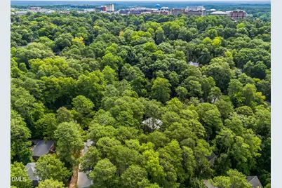 425 Brookside Drive, Chapel Hill, NC 27516 - Photo 50