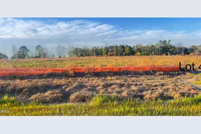 323 Galway Road, Lillington, NC 27546 - Photo 2