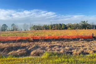 323 Galway Rd, Lillington, NC 27546 - Photo 2