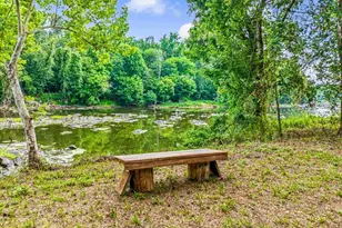 275 Mill Stone Road Ext, Moncure, NC 27559 - Photo 88