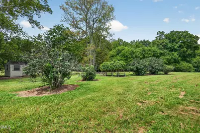 935 Vernie Phillips Road, Bear Creek, NC 27207 - Photo 48