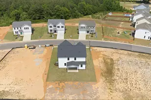 41 Peach Grv Wy, Lillington, NC 27546 - Photo 38