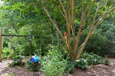 512 Marion Way, Chapel Hill, NC 27516 - Photo 34