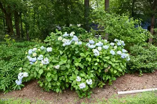 512 Marion Way, Chapel Hill, NC 27516 - Photo 36