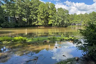 533 Pine Ridge Pl, Raleigh, NC 27609 - Photo 4