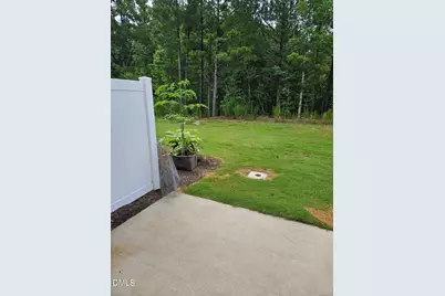 2222 Tulip Bloom Lane, Morrisville, NC 27560 - Photo 20