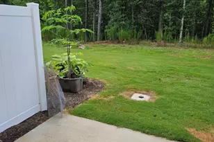 2222 Tulip Bloom Ln, Morrisville, NC 27560 - Photo 20