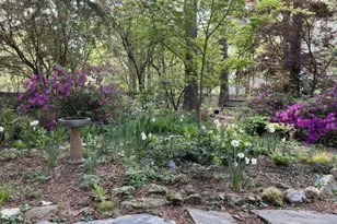 2356 Ravenhill Dr, Raleigh, NC 27615 - Photo 28