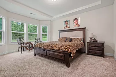 245 Stephens Timberline View, Clayton, NC 27520 - Photo 4