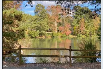 4215 Henderson Place, Pittsboro, NC 27312 - Photo 72