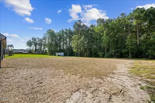 81 Birchtop Cir, Zebulon, NC 27597 - Photo 62