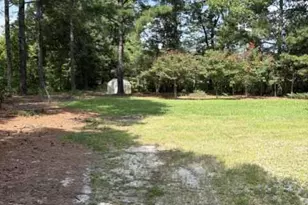 2321 Amelia Church Rd, Clayton, NC 27520 - Photo 10