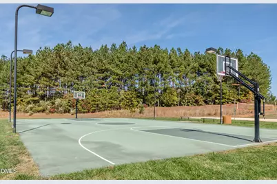 147 Colonial Trail Court, Pittsboro, NC 27312 - Photo 34