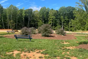 1337 Hammond Dr, Mebane, NC 27302 - Photo 28