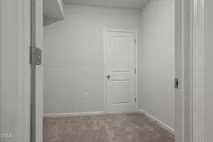 229 Daisy Grove Ln, Holly Springs, NC 27540 - Photo 32