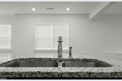 229 Daisy Grove Lane, Holly Springs, NC 27540 - Photo 28