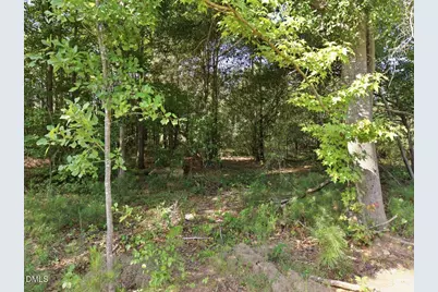 331 Meadow Walk Drive, Fuquay-Varina, NC 27526 - Photo 2