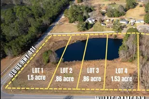 254 Willie Cameron Rd, Lillington, NC 27546 - Photo 1