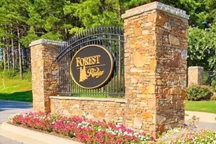 174 Ellsworth Manor Dr, Hillsborough, NC 27278 - Photo 24