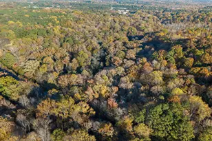 9705 Lake Wheeler Rd, Fuquay Varina, NC 27526 - Photo 4