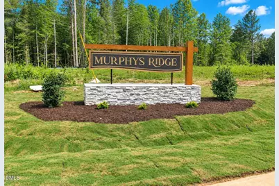4456 Poppy  Mallow Lane, Oxford, NC 27565 - Photo 1