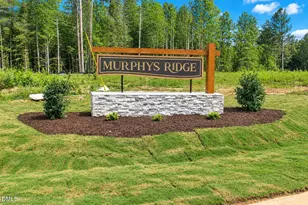 4456 Poppy Mallow Ln, Oxford, NC 27565 - Photo 1