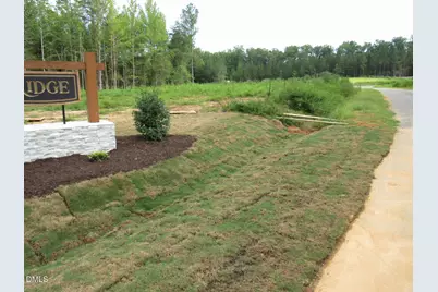 4456 Poppy  Mallow Lane, Oxford, NC 27565 - Photo 2