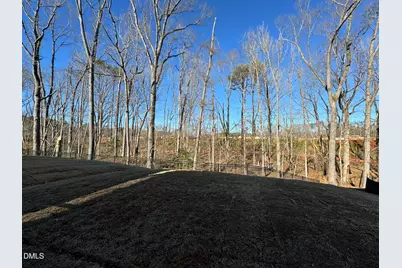 163 Glen Clova Drive, Raleigh, NC 27603 - Photo 38