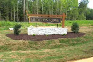 4466 Poppy Mallow Ln, Oxford, NC 27565 - Photo 1